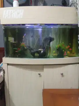 Jual aquarium+ikan lemari dan isinya