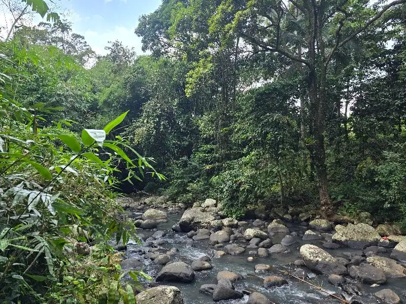 Dijual tanah murah dengan sungai di tabanan bali