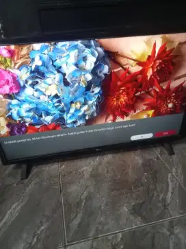 Led LG 32 Digital mulus
