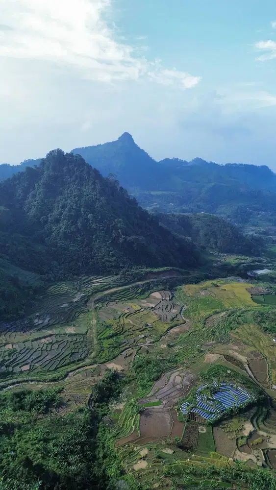 Jual Tanah Murah SHM di Jalur Poros Tengah Timur Sentul Bogor