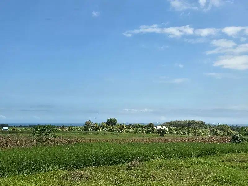 dijual tanah murah view laut di tabanan bali