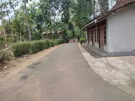 DIJUAL TANAH PEKARANGAN LUAS DI MOYUDAN