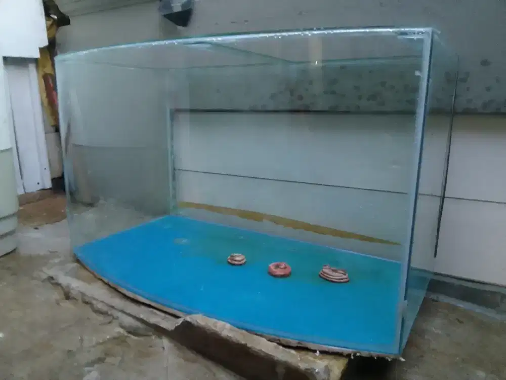 Akuarium cembung ukuran besar