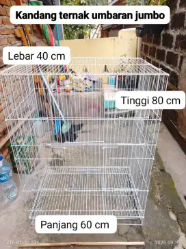 Kandang umbaran baru size 60x40x80 harga nett(harga pas)