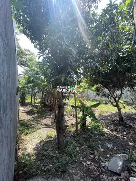 Dijual Tanah Siap Bangun Dekat Arjosari Di Teluk Grajakan Kota Malang