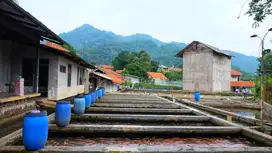 JARANG ADA TANAH DENGAN KOLAM IKAN PRODUKTIF, NEGO DENGAN OWNER