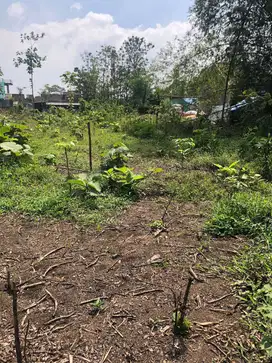 Dijual Tanah Strategis Di Pakisaji Malang