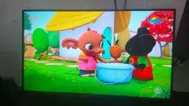 TV LED SAMSUNG 43 INCHI DIGITAL NO MINUSS
