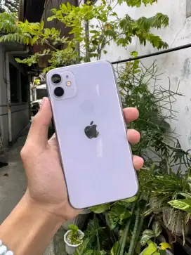 iPhone 11 128 purple all operator inter like new