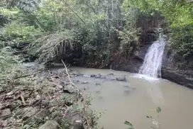 Tanah luasan kecil dekat pantai los sungai berisi air terjun view laut