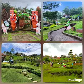 DIJUAL TANAH WISATA TAMAN KELINCI SERTA TANAH KAVLING