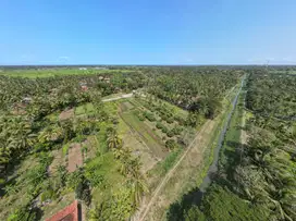 Area Bandara NYIA; Tepi Aspal; SHM