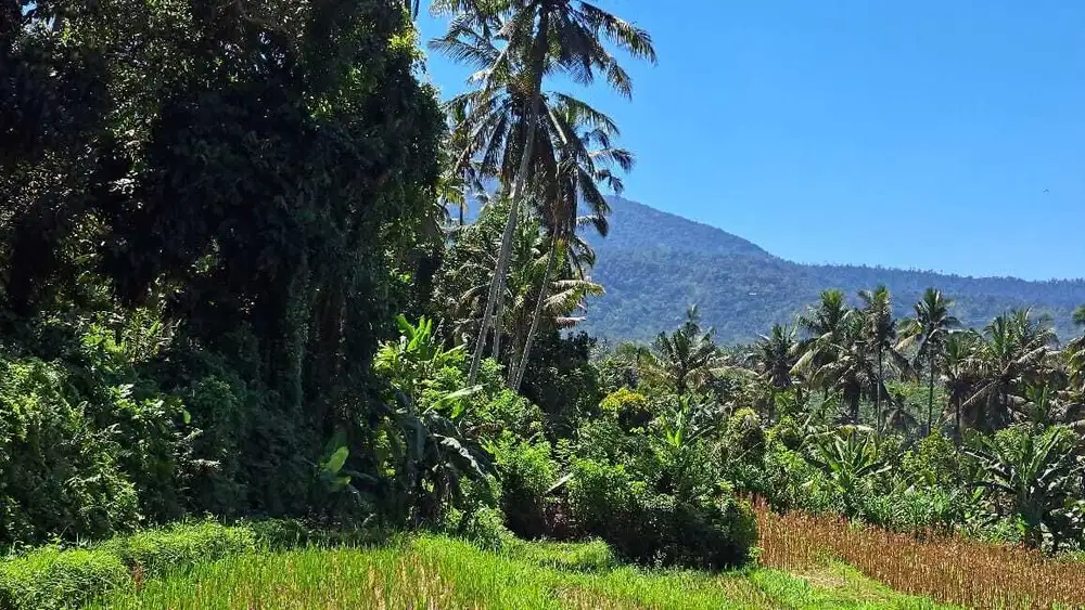 Dijual tanah murah view gunung dan laut di bali timur