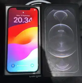 i phon 12 pro max ibox