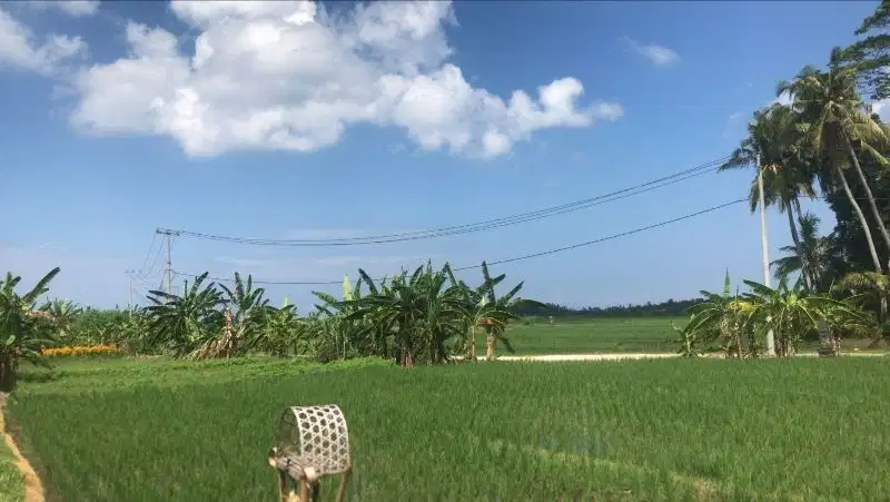 Dijual tanah view laut sangat murah luasan kecil di pasut tabanan bali