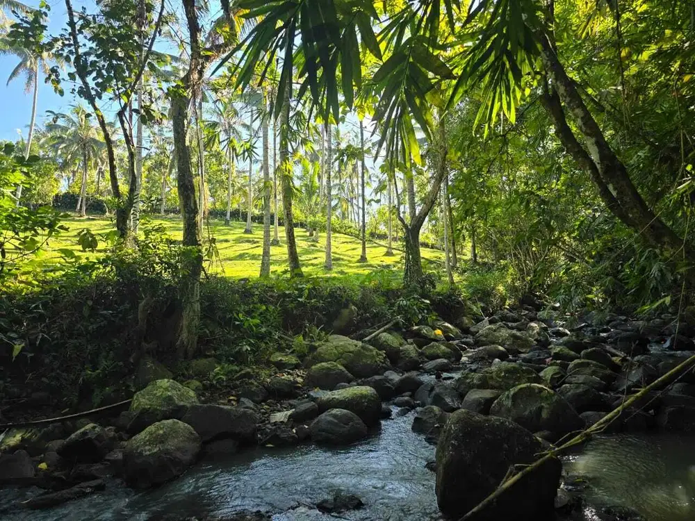 Dijual tanah yellow zona los sungai dan view jungle di bali