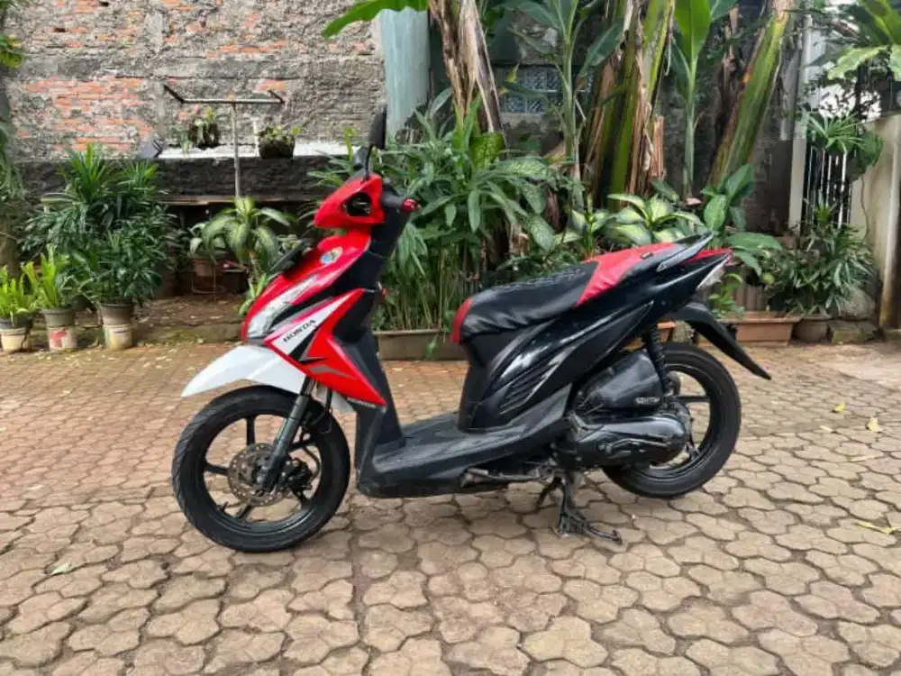 Vario Agnes 110cc