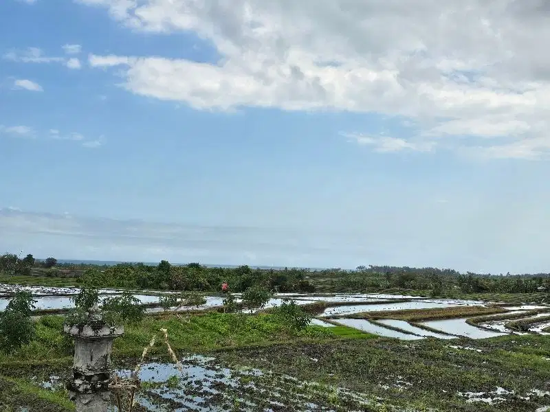 dijual tanah sawah dengan view sawahdan laut di tabanan bali