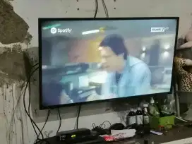 Tv sharp 40in normal