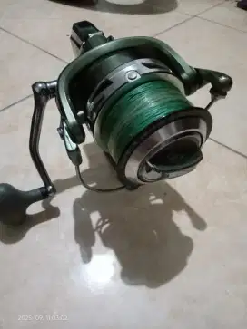 teratai megalodon 10000