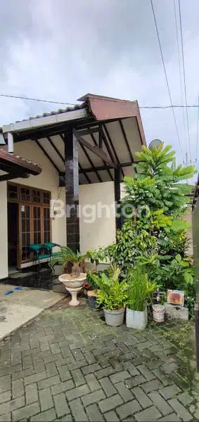 Rumah luas dan asri dekat Soehat ( Nego)