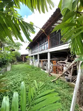 Villa Cantik View Hamparan Sawah di Bangunjiwo
