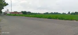 Dijual Murah Tanah Strategis Zona Kuning di Trowulan Mojokerto