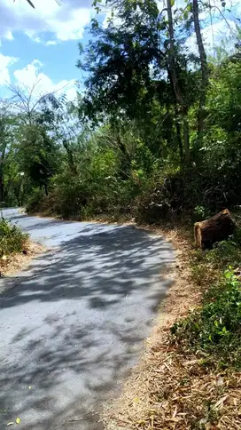 Tanah murah di Gerung-jembatan kembar Lombok Barat