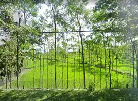 Tanah pinggir jalan Bypass BIL Batujai