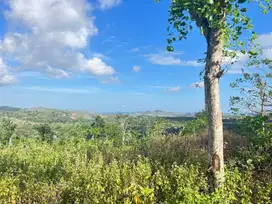Tanah view laut di Kuta Lombok