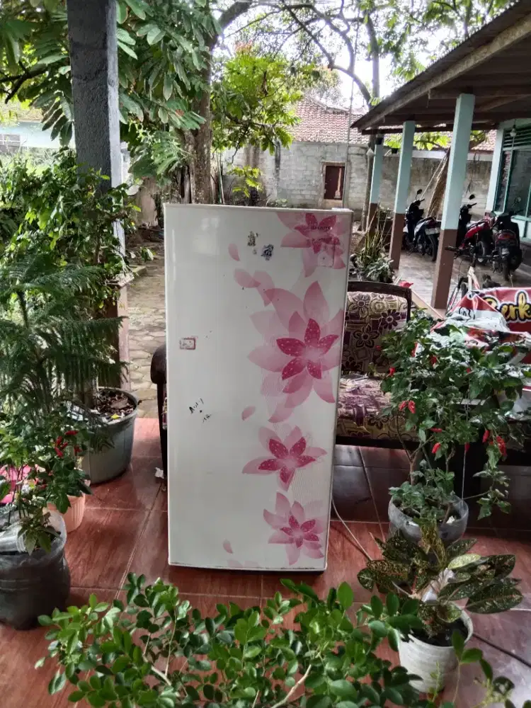 Kulkas kembang satu pintu