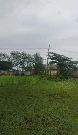 Cocok Untuk Rumah Kavling, Dijual Tanah Luas Murah Di Cerme Gresik