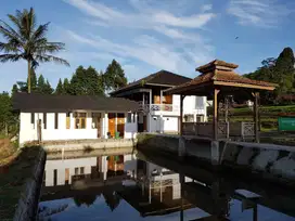 DIJUAL TANAH 4300m Daerah Caringin Sukabumi (OPEN NEGO)