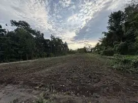 Candiwinangun Sleman; Kawasan Prospekif Investasi; SHM