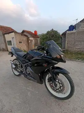KAWASAKI NINJA RR NEW 2013
