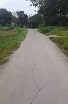 TANAH BUAT USAHA KOLAM IKAN DAN TERNAK GNSINDUR