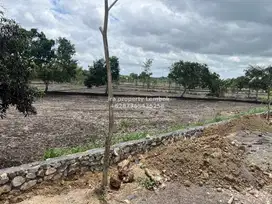 Tanah pinggir jalan raya bypass BIL baru