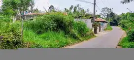 Tanah murah siap bangun di cimanggu bogor