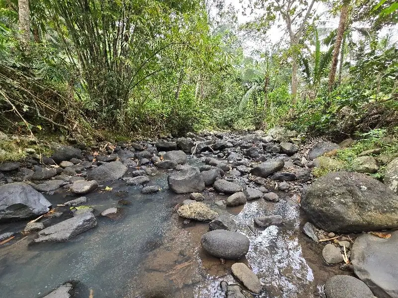 DIJUAL TANAH LOS SUNGAI CANTIK DI TABANAN BALI