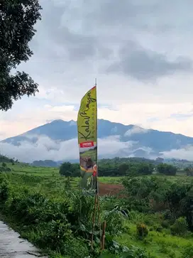 Jual Tanah di Puncak Bogor SHM Udara Sejuk 800 Mdpl