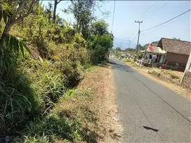 Jual murah tanah tepi jalan aspal hawa sejuk udara segar lereng Arjuno