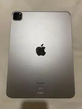 Ipad Pro M1 + Keyboard (ZAGG)