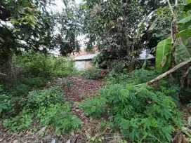 Tanah Luas 307 m Dijual Murah di Plawad Karawang Timur