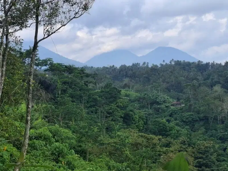 Dijual tanah murah view air terjun dan los sungai dekat villa di bali