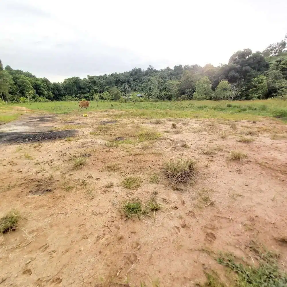 Jual Tanah Murah Di Kalimantan Timur Strategis Dekat Bandara Kalimarau