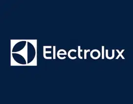 Kulkas Electrolux ESE5100B-B