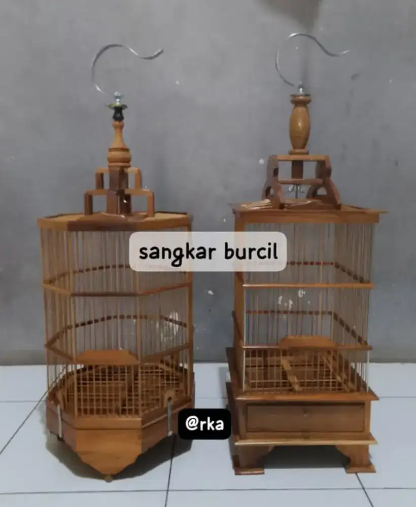 sangkar burcil plistur coklat