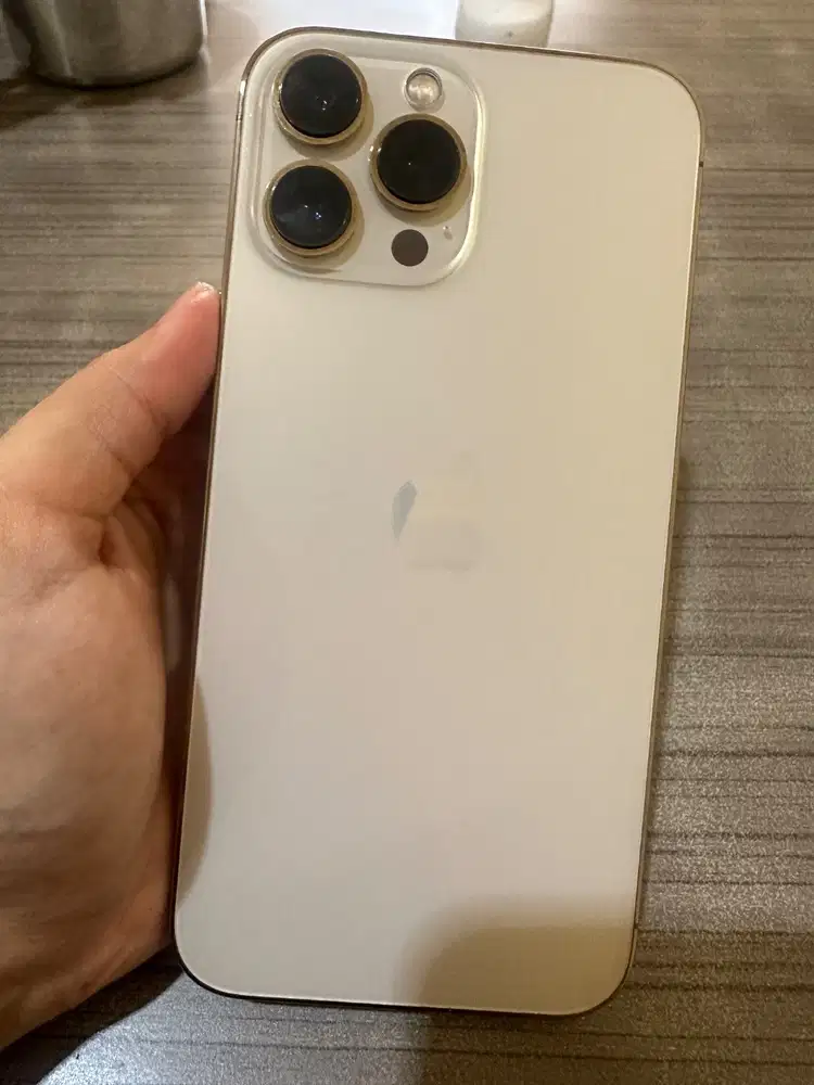 Iphone 13 promax 256 gb mulusss