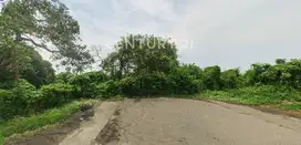 Tanah Kavling Kawasan Industri Murah Delta Silicon 1 Cikarang