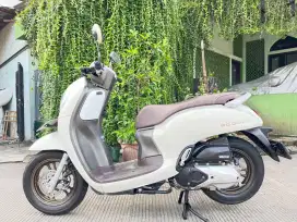 HONDA SCOOPY PRESTIGE TAHUN 2023 PAJAK PANJANG
